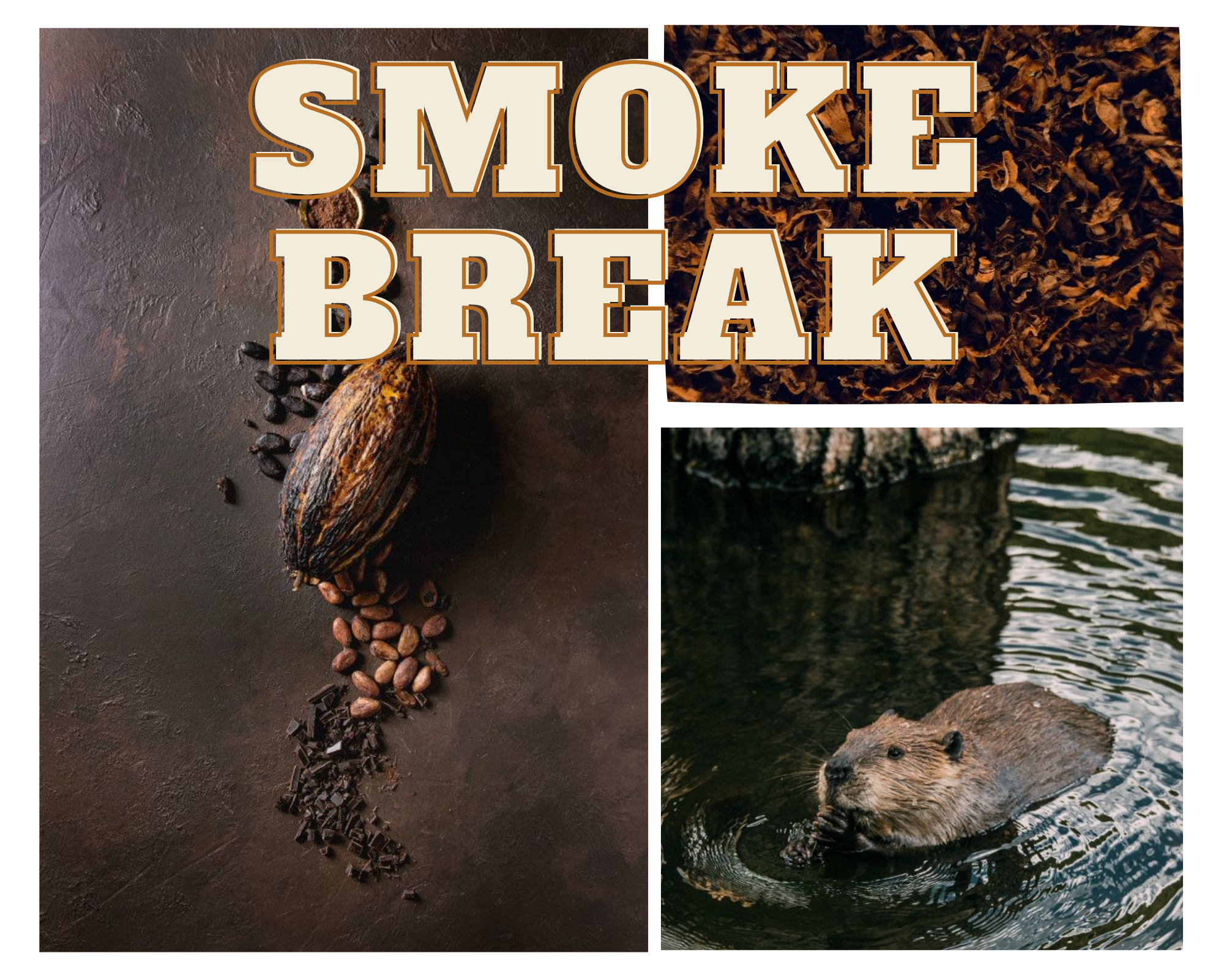 Smoke Break